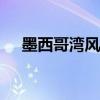 墨西哥湾风暴早期跳升后油价下滑0.4％