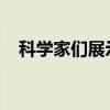 科学家们展示了动物神经系统的第一张图