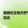 规模化生物天然气及有机肥试点项目日前在原平市成功点火投运