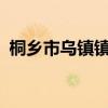 桐乡市乌镇镇龙翔集镇地块总起价7.53亿元