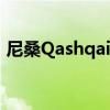 尼桑Qashqai增加了2020年的技术和安全性