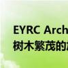 EYRC Architects的Spring Road房子沿着树木繁茂的加州山顶走下去